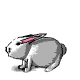 bunny2.gif (9116 bytes)